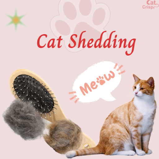 how to stop cats from shedding