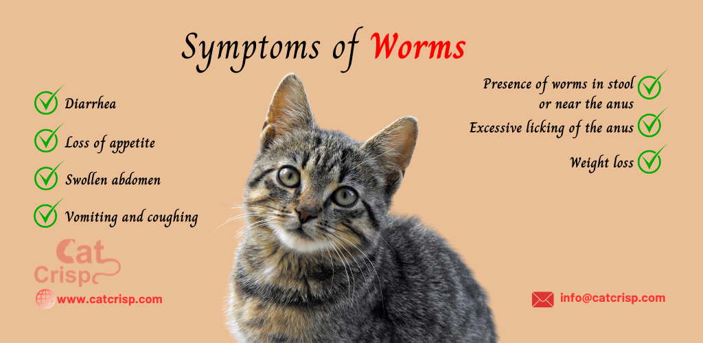 home remedy for cat worms