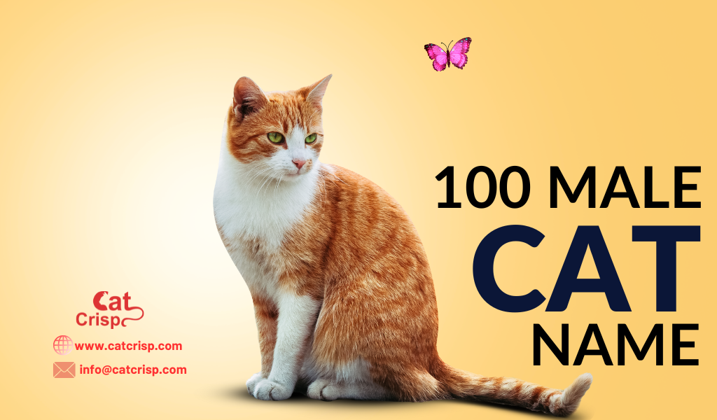 top 100 unique male cat names