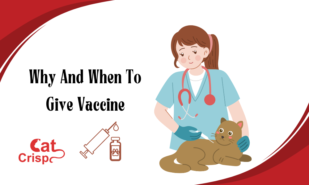 why and when to give cat vaccine