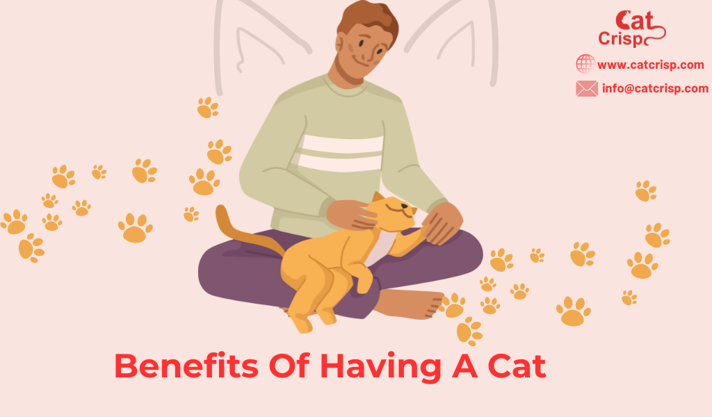 benefits of having a cat