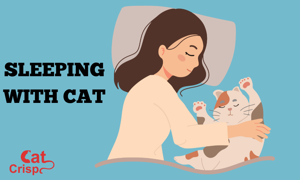 sleeping with cat in bed