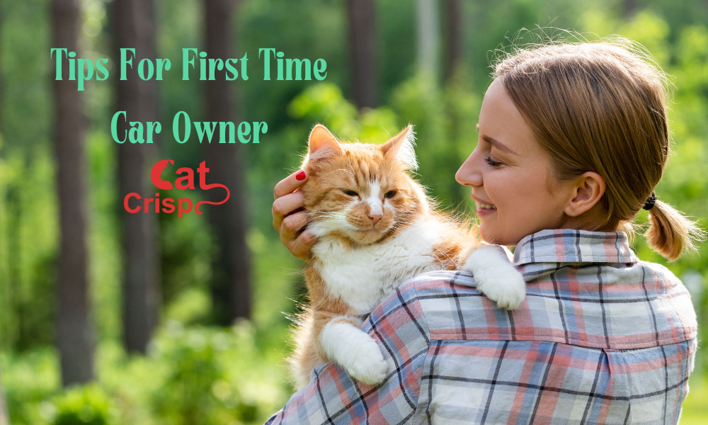 Top 10 Tips for First Time Cat Owner