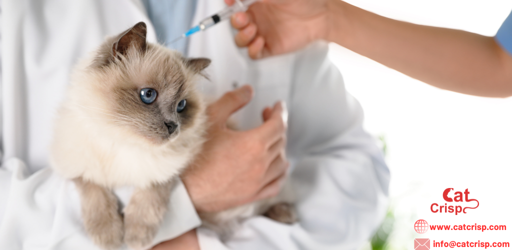 Why and when to give cat vaccine?