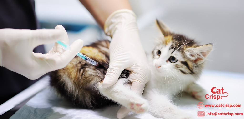 Why and when to give cat vaccine?