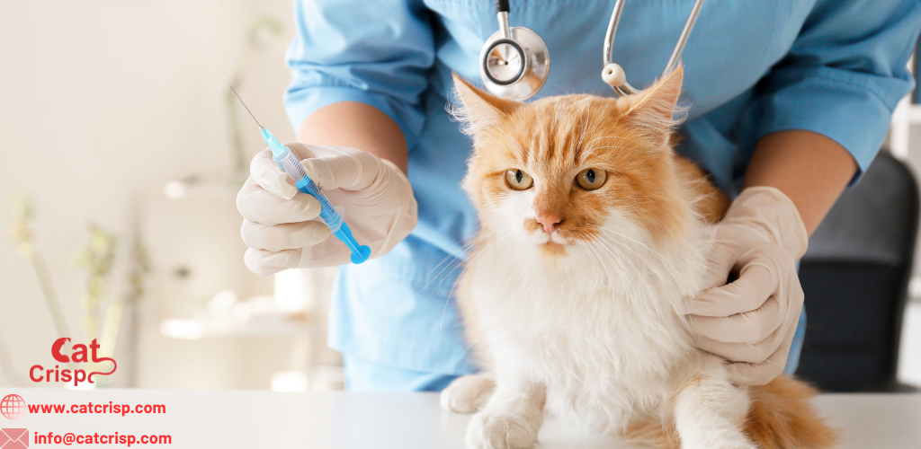 cat vaccine