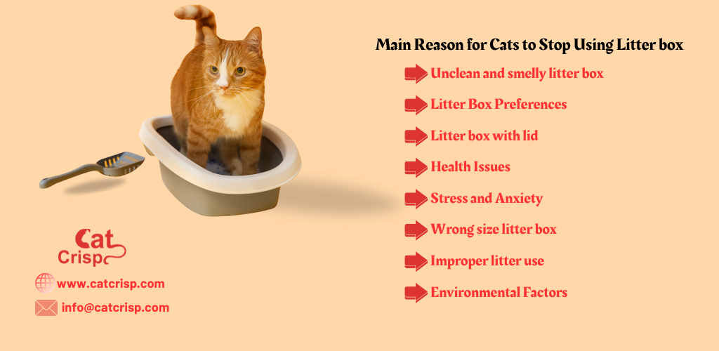 why do cats stop using the litter box