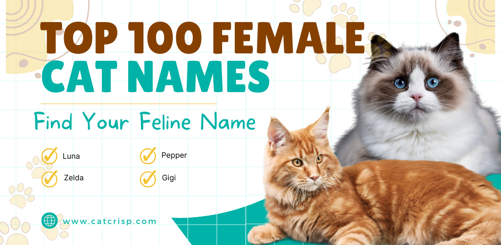 top 100 unique female cat names