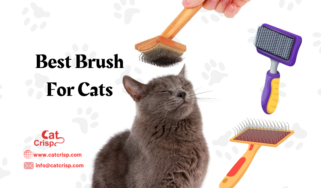 best brush for cats