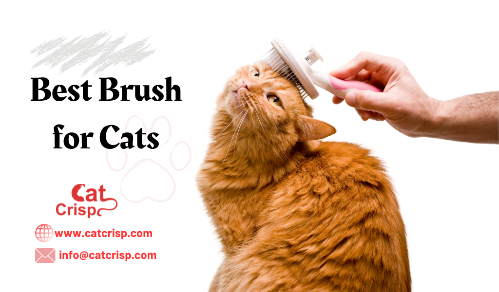 best brush for cats