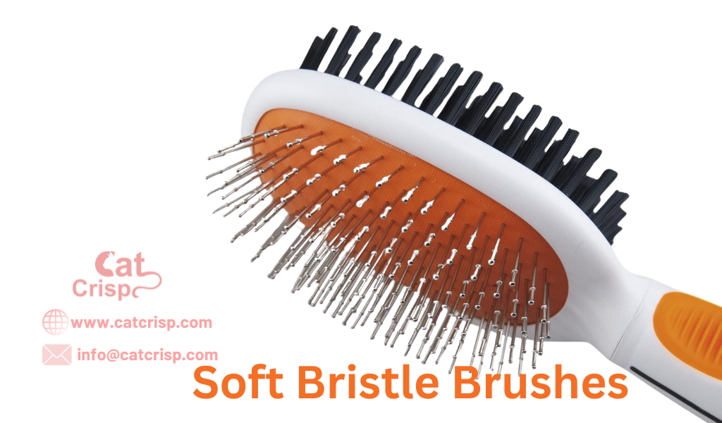 Bristle Brushes