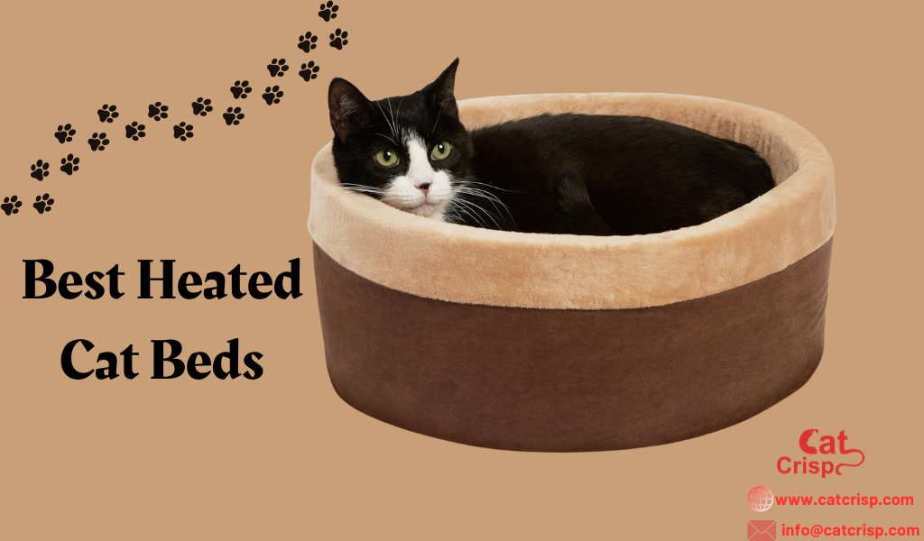 best heated cat beds