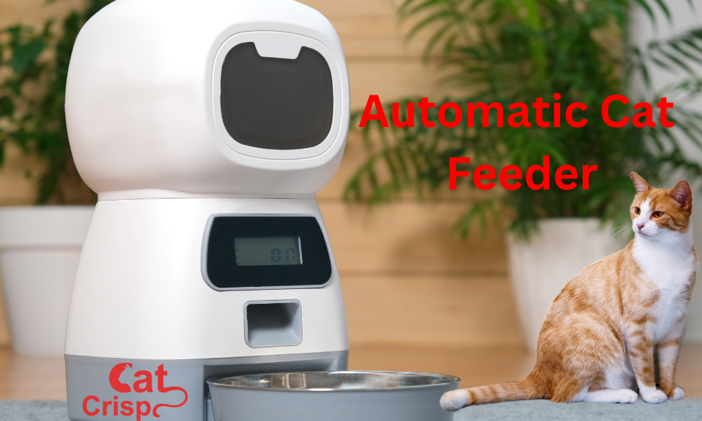 best automatic cat feeder