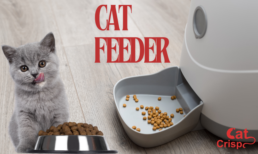 best automatic cat feeder