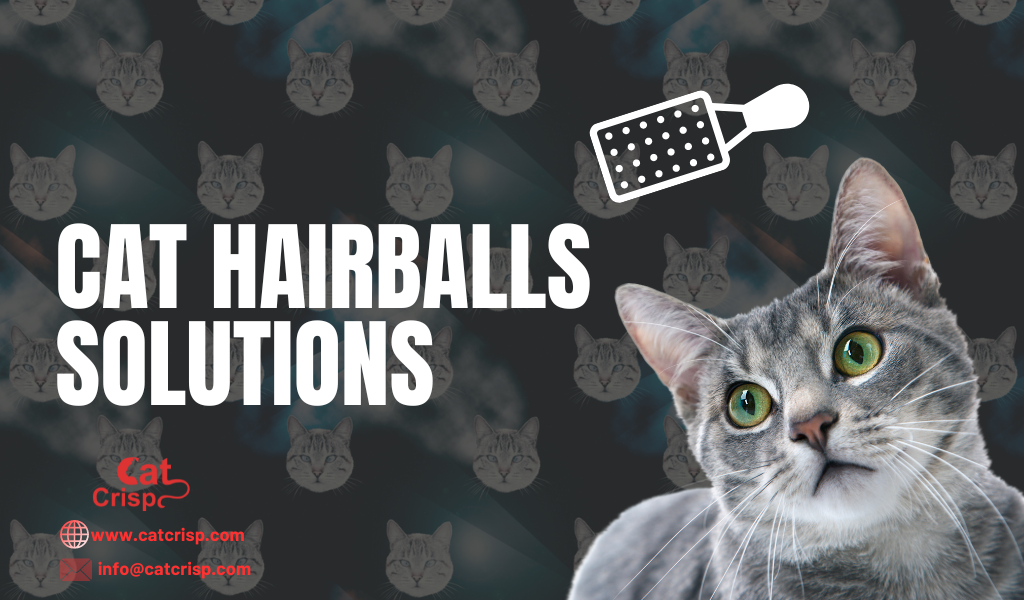 Best Cat Food for Hairballs