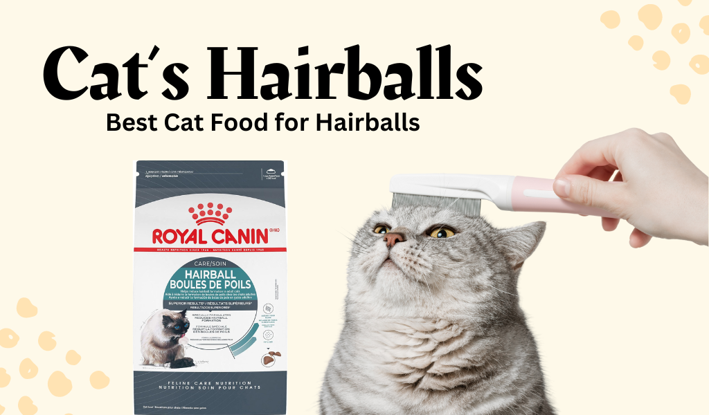 Best Cat Food for Hairballs