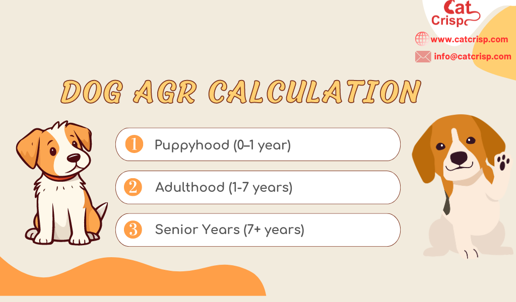 Are Dog Years and Cat Years the Same