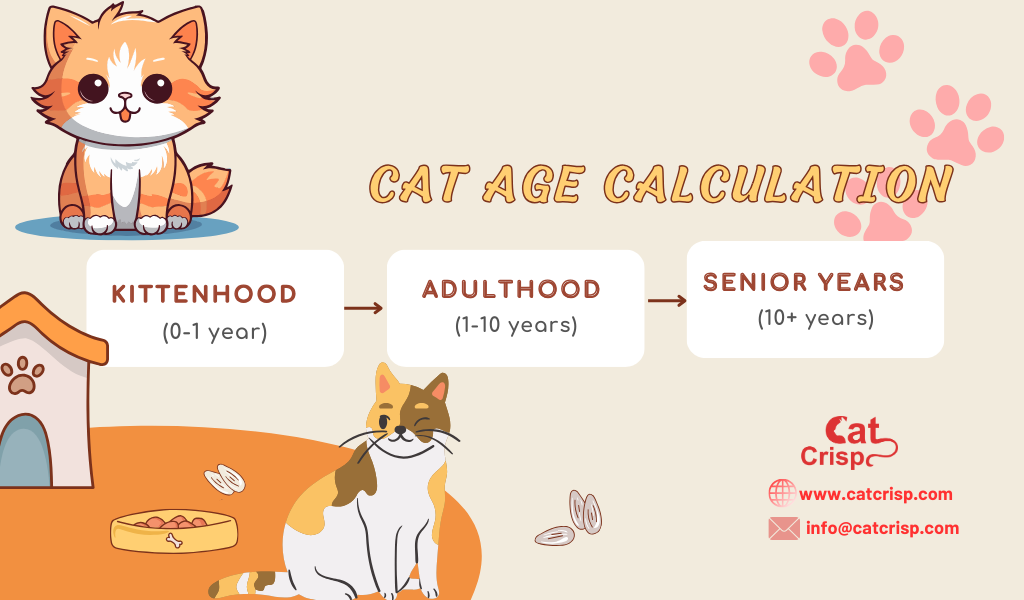 Are Dog Years and Cat Years the Same