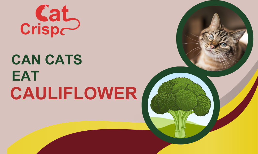 can cats eat cauliflower