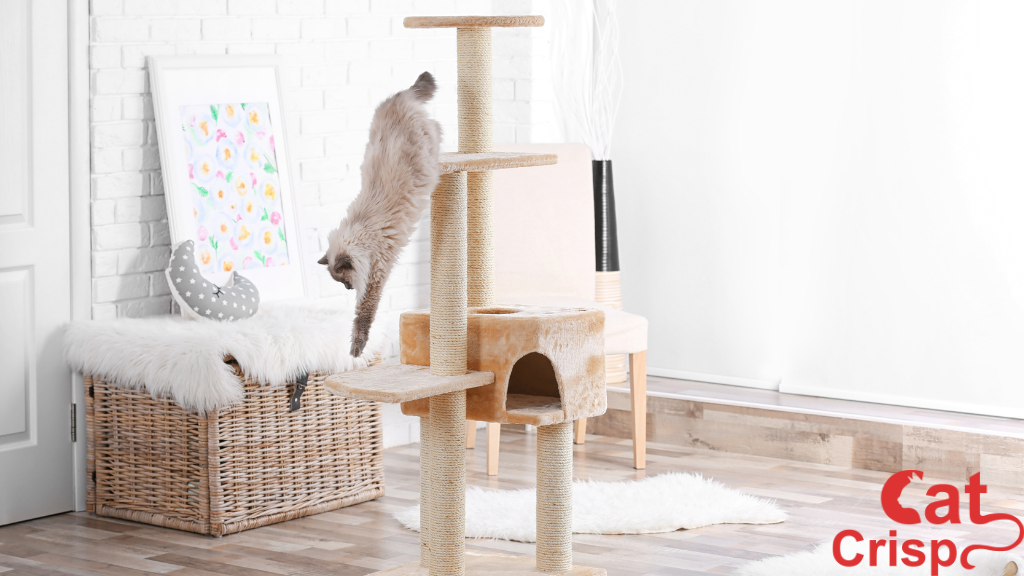 cat tree with litter box