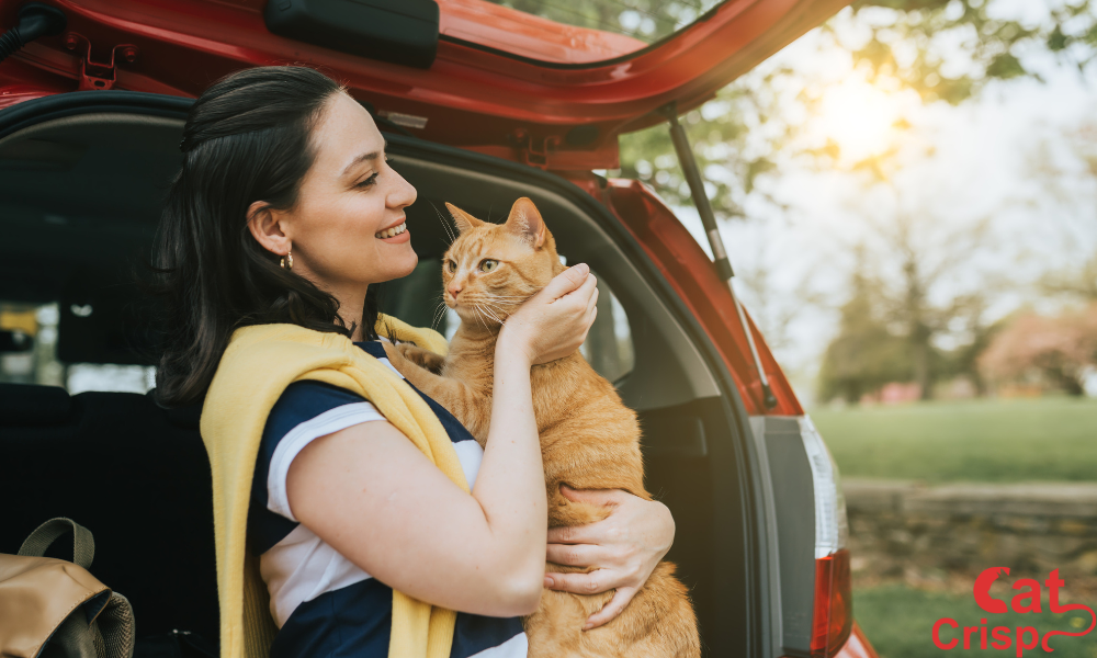 how to get cat pee smell out of a car